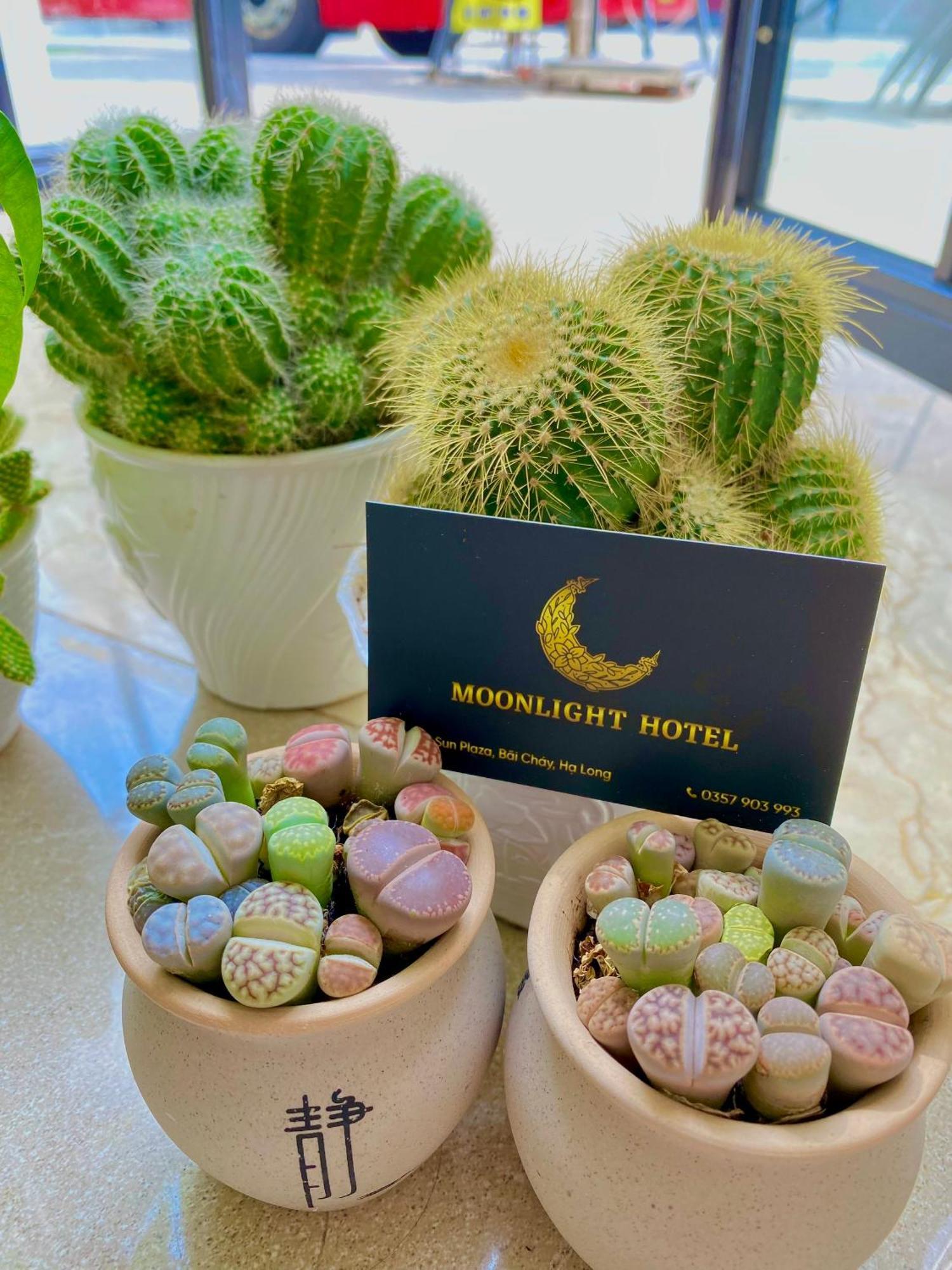 Moonlight Hotel ها لونغ المظهر الخارجي الصورة